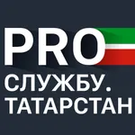 PRO службу icon