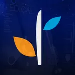 LindseyJones Companion icon