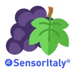 Smart Vite icon