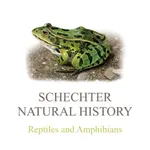 Reptiles & Amphibians of NA icon