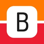 Van Boxtel Groep icon
