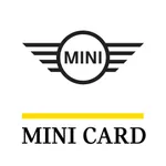 MINI Credit Card icon