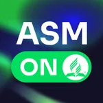 Agenda ASM icon