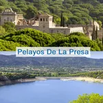 Pelayos de la Presa icon