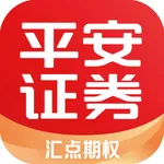 平安证券汇点期权 icon