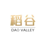 DAO VALLEY icon