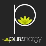 Purenergy Studio icon