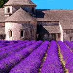 Provence’s Best: Travel Guide icon