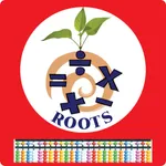 Roots Abacus icon