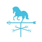 Manege De Blauwe Steen icon