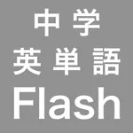 Flash Word icon