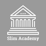 Slim Academy (backup server) icon