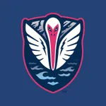 Tormenta FC icon