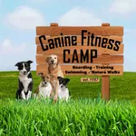 Canine Fitness Camp icon