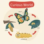Curious World: Preschool Learn icon