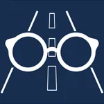 Vision & Road Safety Simulator icon