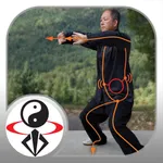 Neigong Qigong Exercises icon