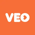 Veo icon