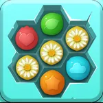 Flower Blast-Match 3 Puzzle icon