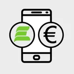 FE Payment icon