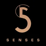 5 senses icon