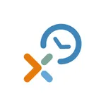 Experis WebTime icon