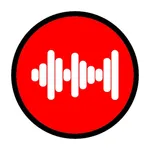 Voice to Video Recorder icon