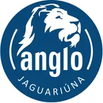 Anglo Jaguariúna icon