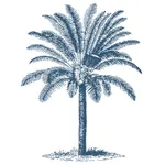 Casa Palmera icon