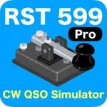 RST 599 Pro icon