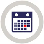 SMS Action Plan icon