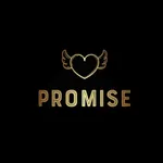 Promise Official icon