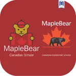 Maple Bear App icon