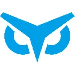 柯内特猫头鹰 icon