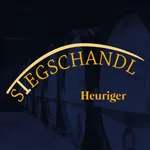 Stegschandl icon