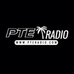 Palm Tree Ent. Radio icon