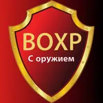 Ведомственная охрана 2023 icon