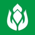 农兜 icon