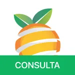 iCeasa Consulta icon