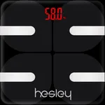 Hesley icon
