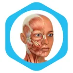 Medical Terminology Learning icon