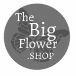 The Big Flower Shop icon