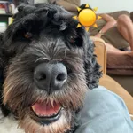 The Jenny Weather App! icon