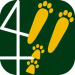 Forest Track icon