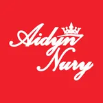 AidynNury icon