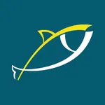 Yellowfin Digital icon