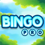 Bingo Masters Professional icon