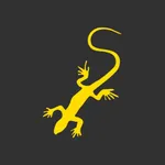 SóCarrão Leads icon