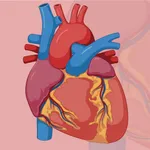 Learn Cardiovascular System icon