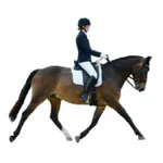 Alison Short Dressage icon